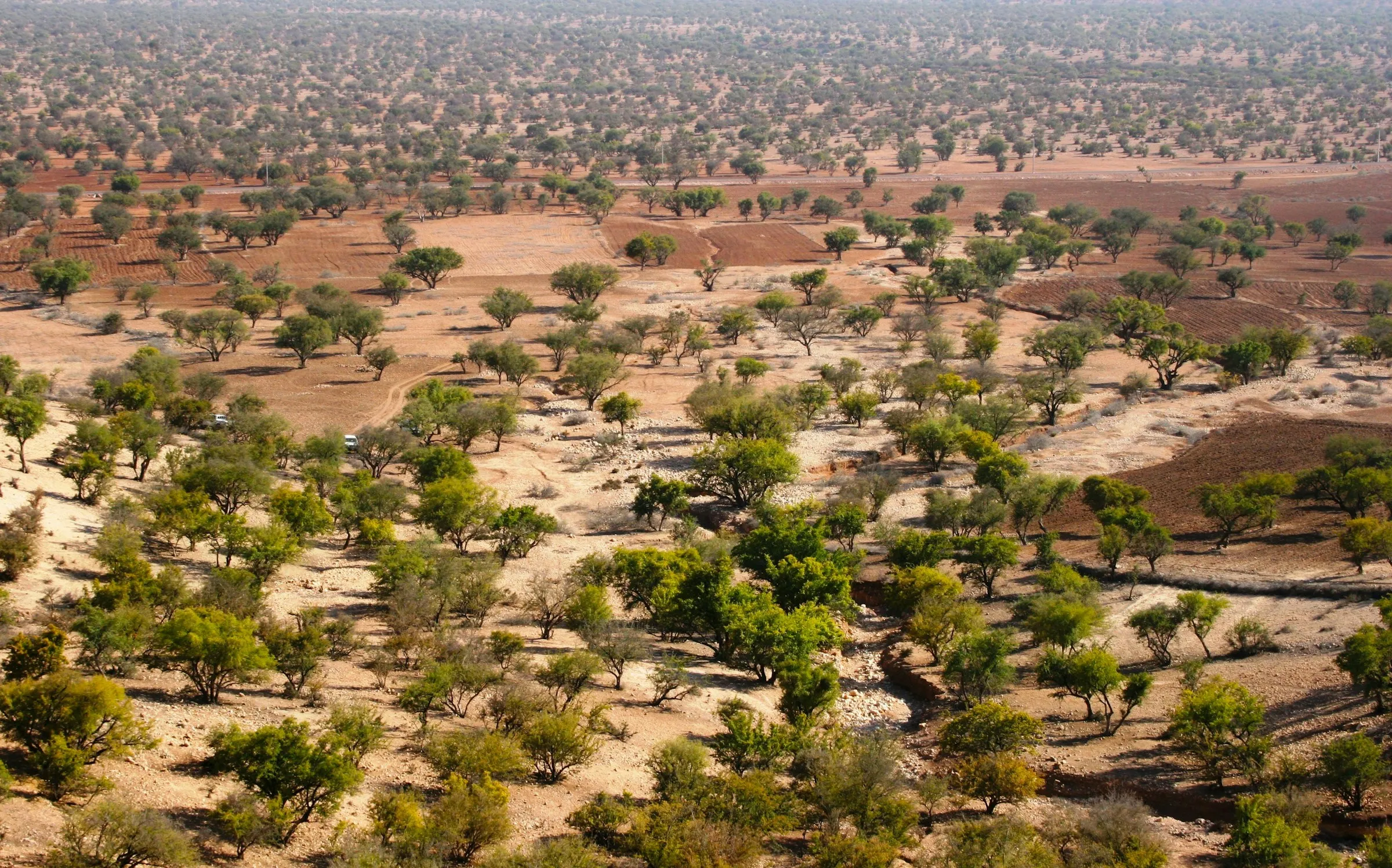 Targant – Argan Museum